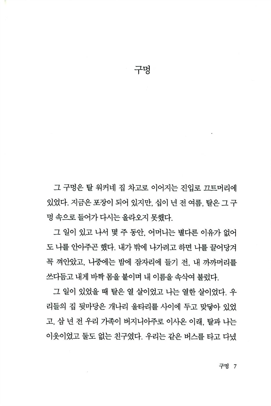 The Theory of Light and Matter by Andrew J. Porter | Korean | 빛과 물질에 관한 이론