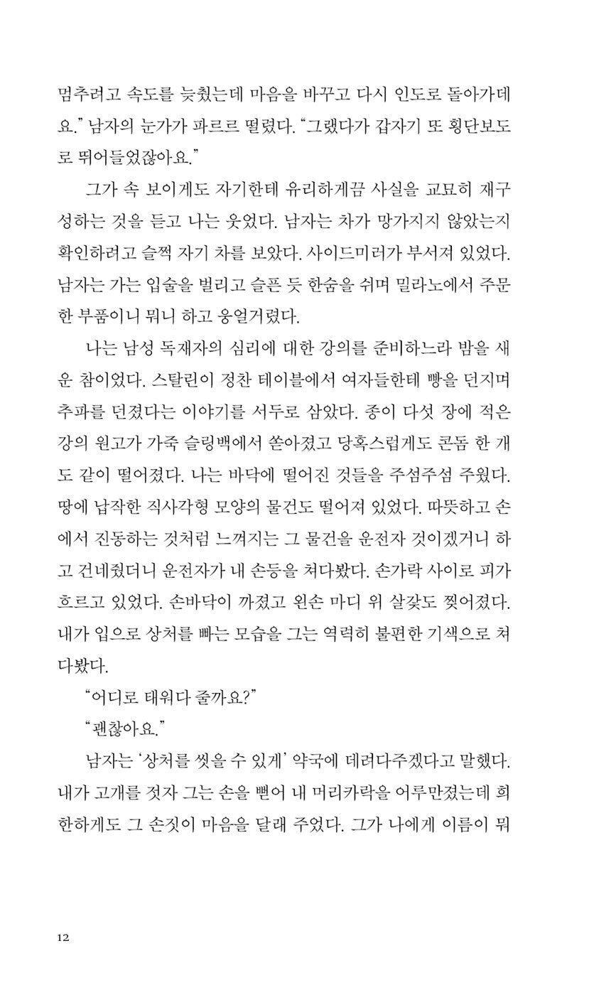 The Man Who Saw Everything by Deborah Levy, Korean, 모든 것을 본 남자, 데버라 리비