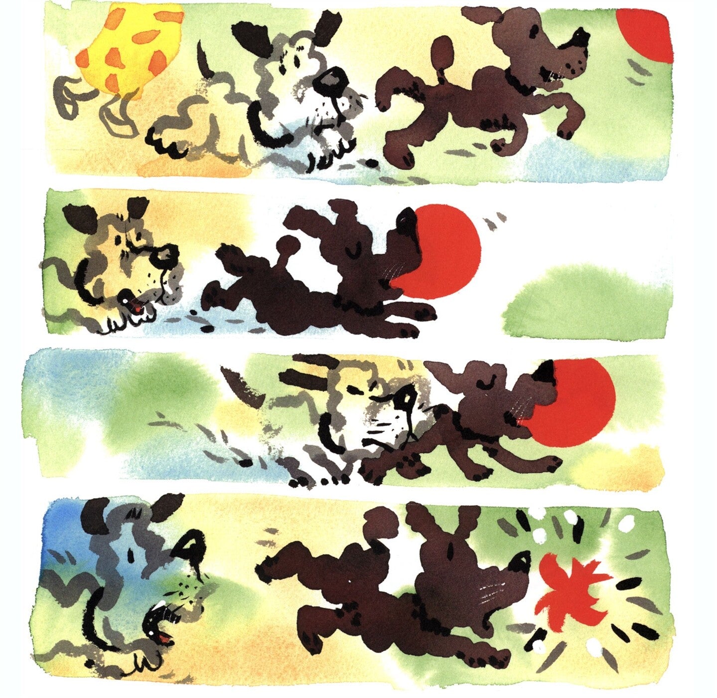 A Ball for Daisy by Chris Raschka | Korean Edition Picture Books