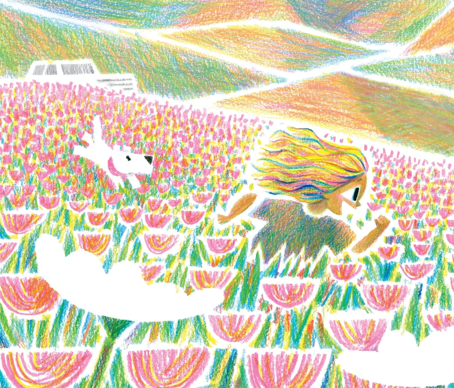 Have You Ever Seen a Flower? by Shawn Harris | Korean Edition Picture Books