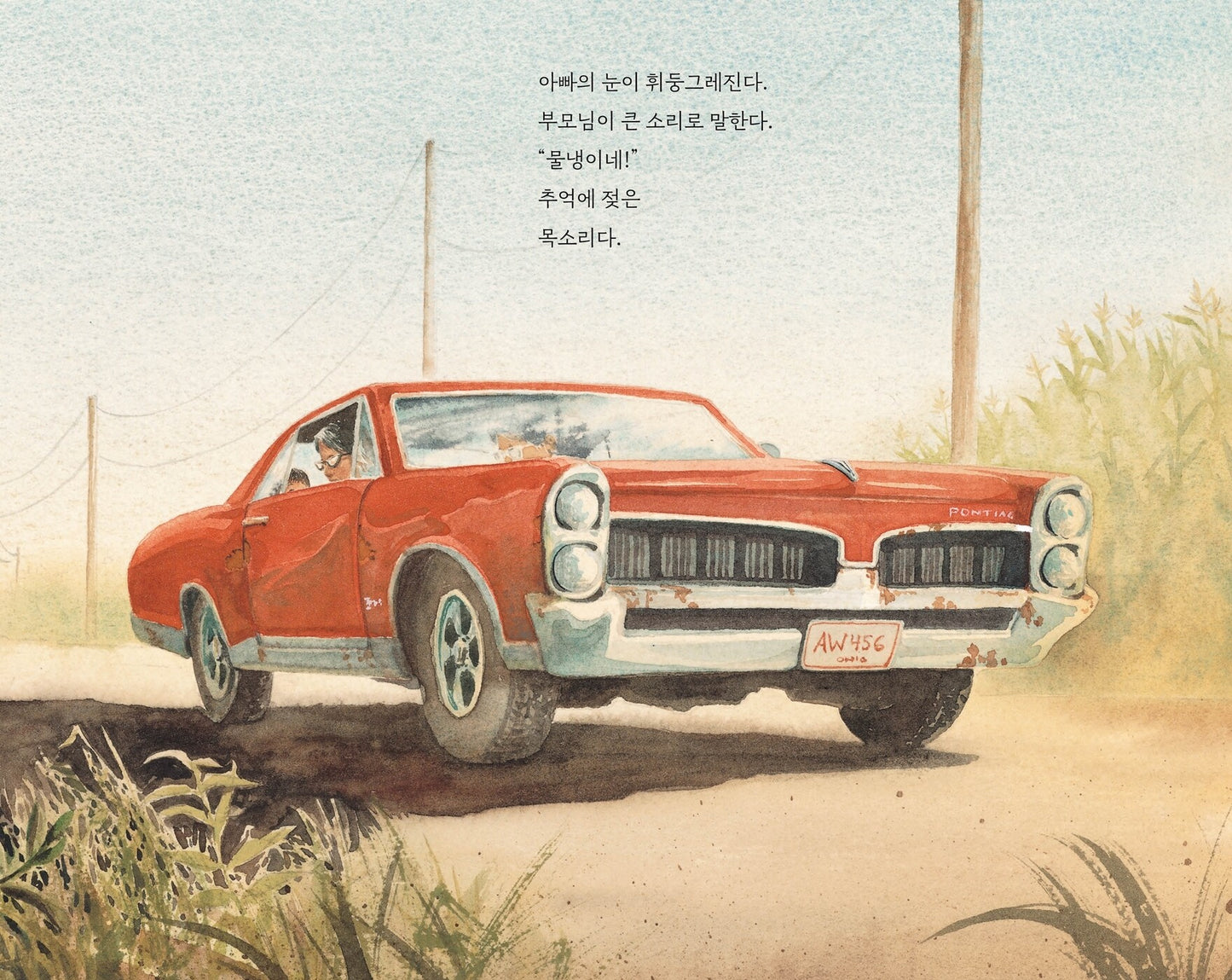 Watercress by Andrea Wang | Korean Edition Picture Books