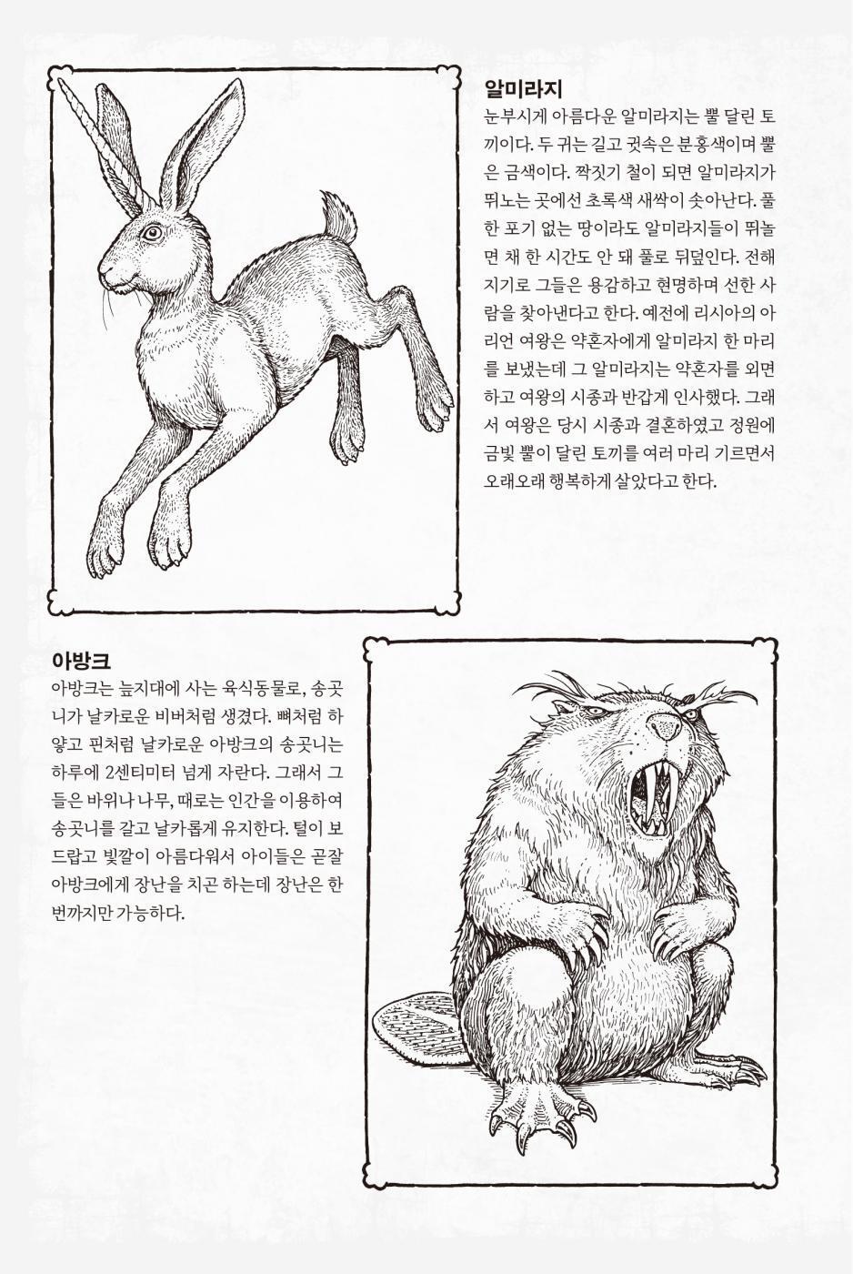 Impossible Creatures by Katherine Rundell, Korean, 임파서블 크리처스, 캐서린 런델