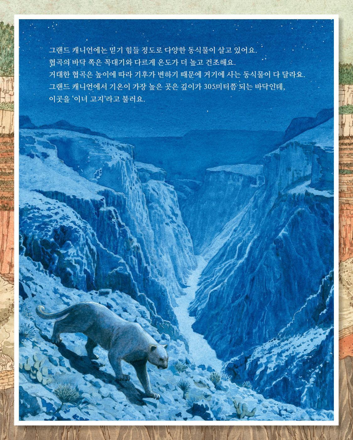 Grand Canyon by Jason Chin | Korean Edition Children's Book