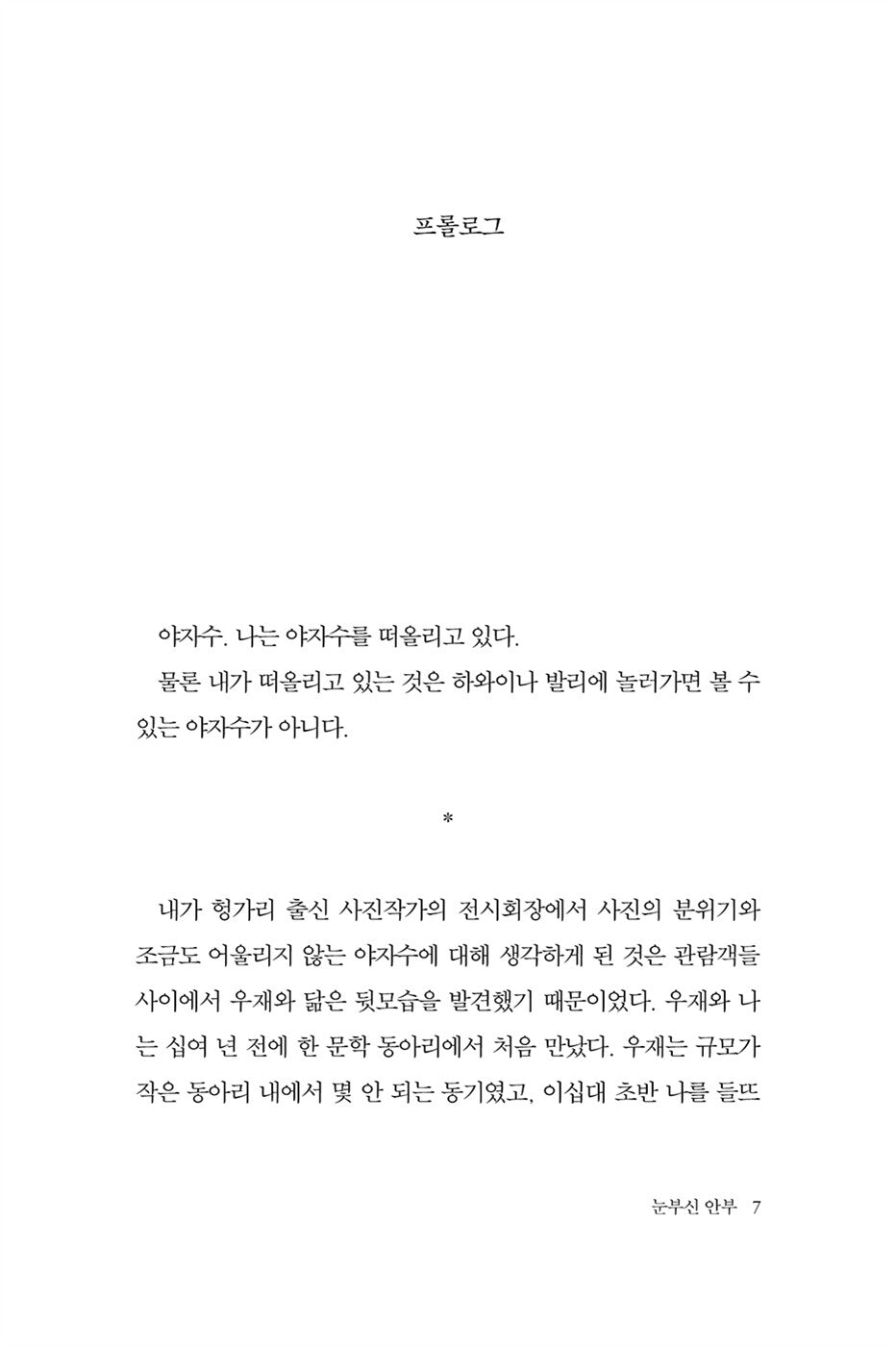 Dazzling Regards by Baek Su-rin Korean Edition