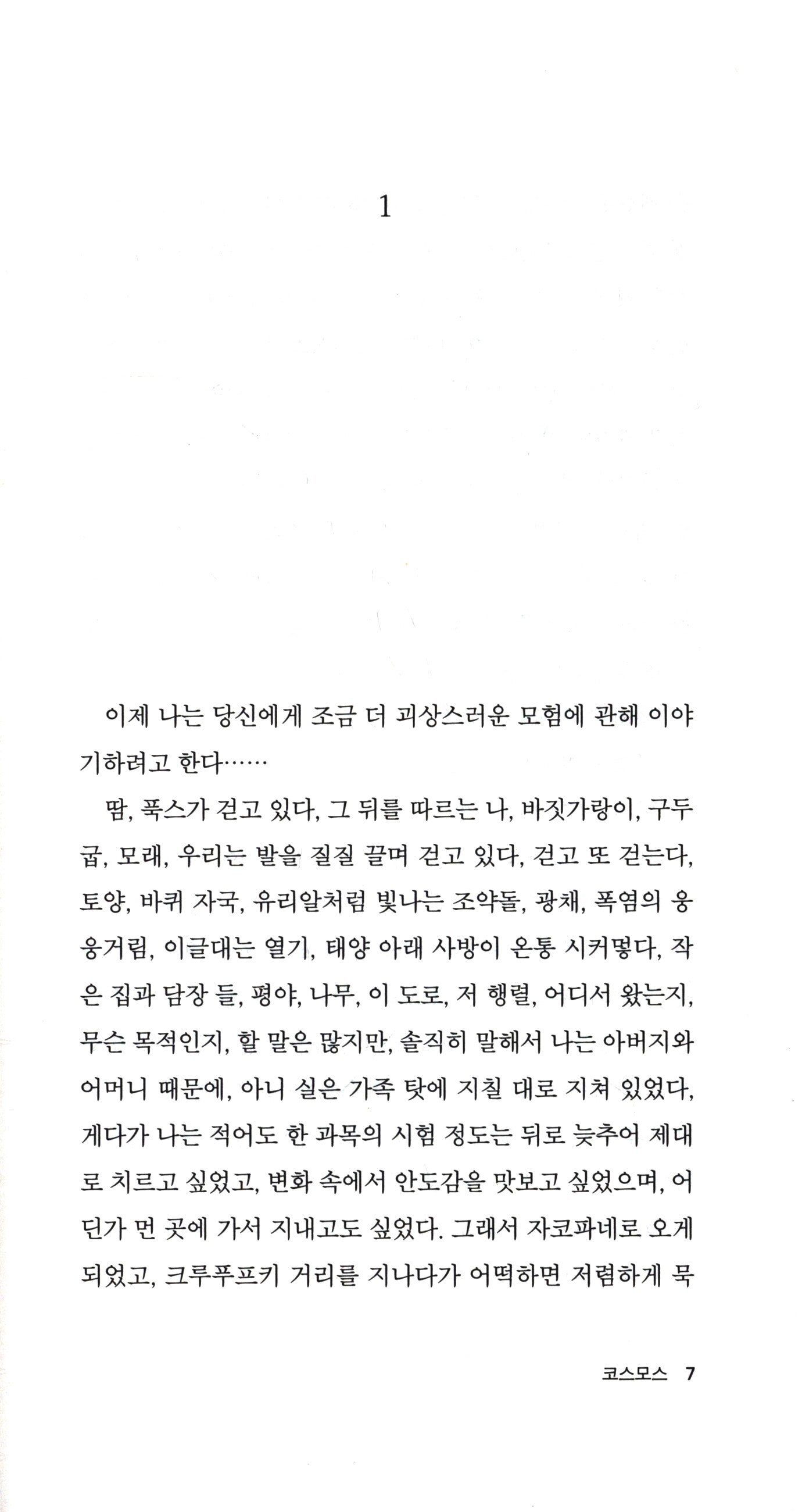 Cosmos Novel by Witold Gombrowicz | Korean Edition