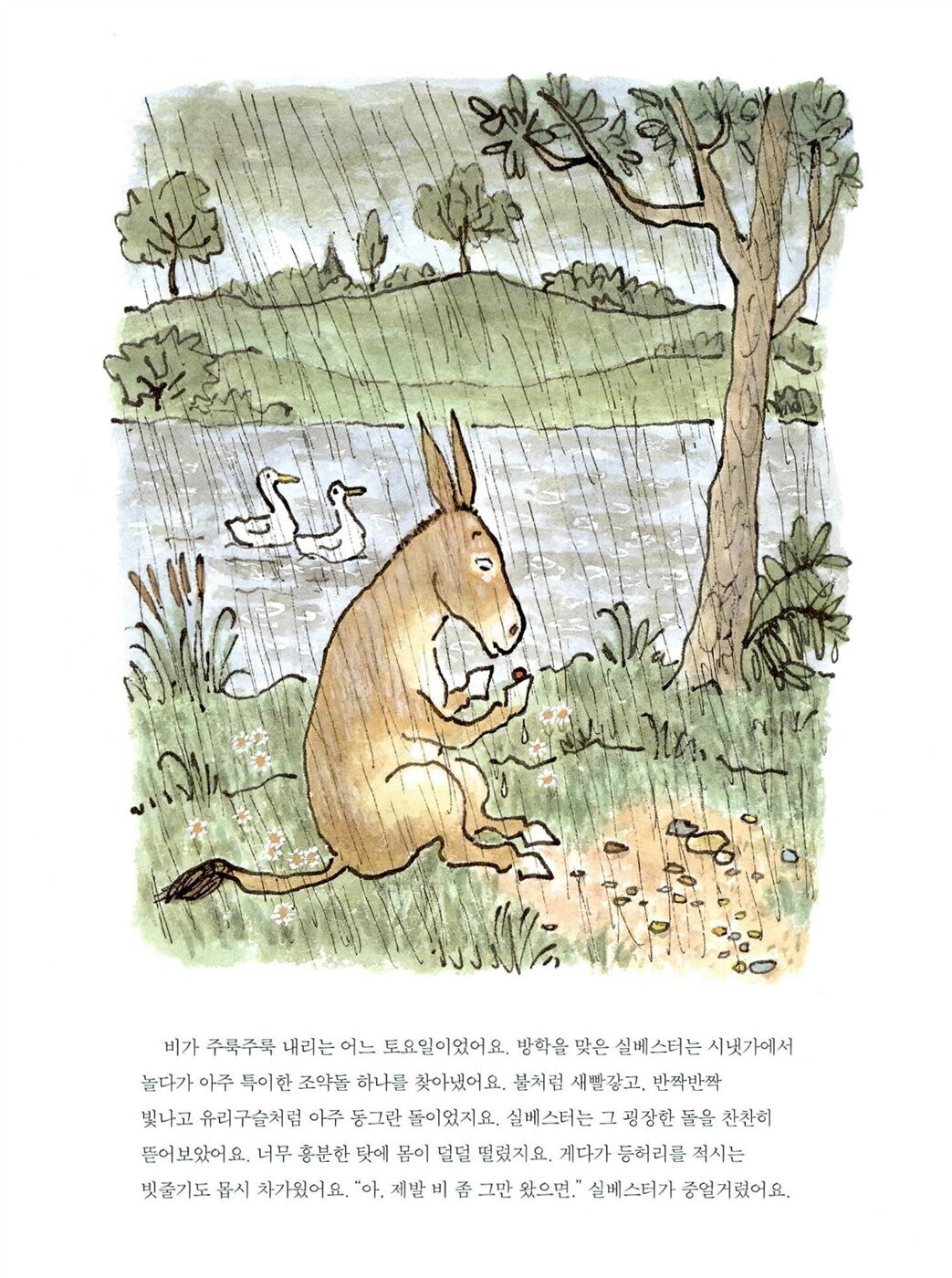 Sylvester and the Magic Pebble by William Steig | Korean Edition Picture Books