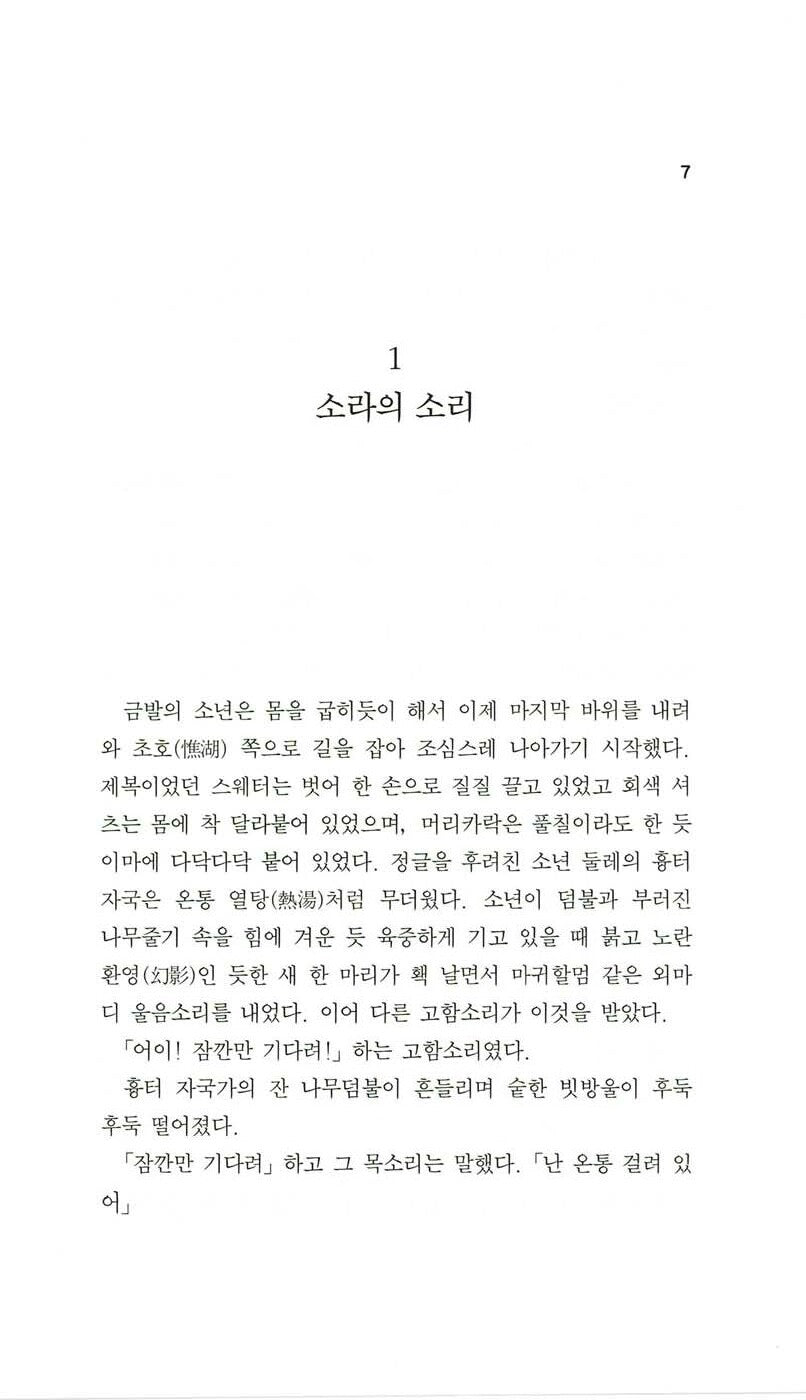 Lord of the Flies Novel by William Golding Korean Edition