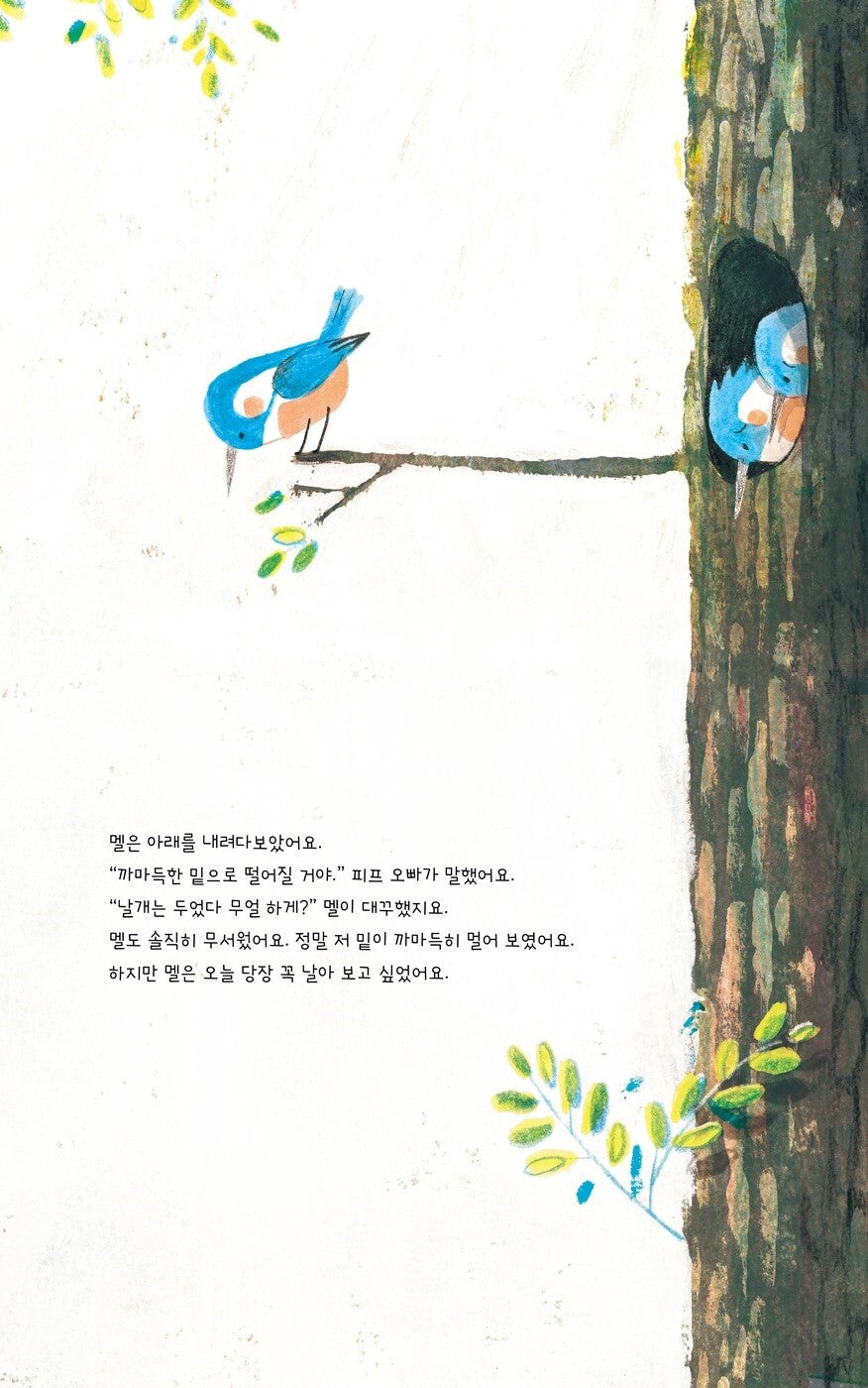 Mel Fell by Corey R. Tabor | Korean Edition Picture Books