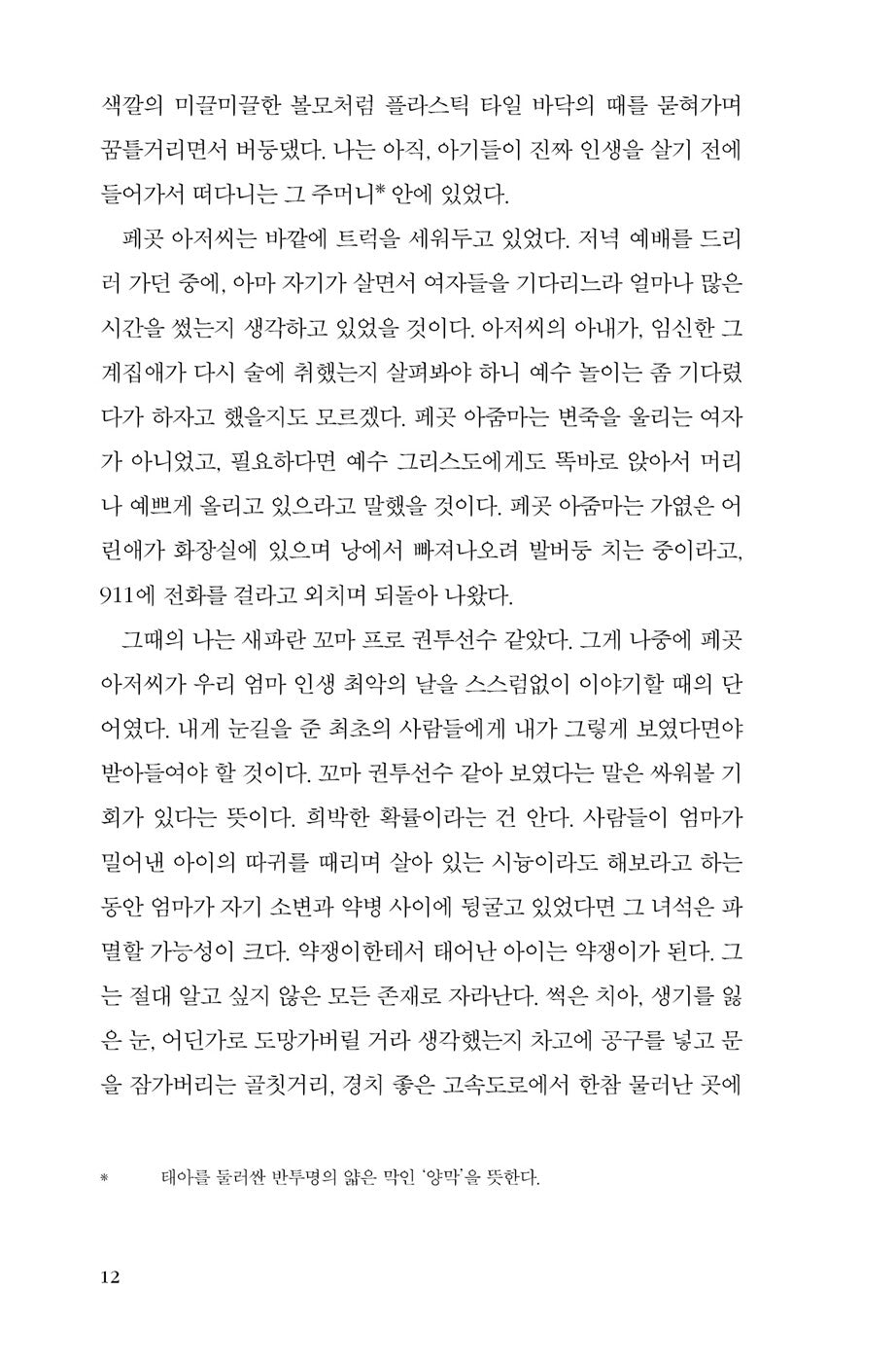 Demon Copperhead by Barbara Kingsolver, Korean, 내 이름은 데몬 코퍼헤드, 바버라 킹솔버