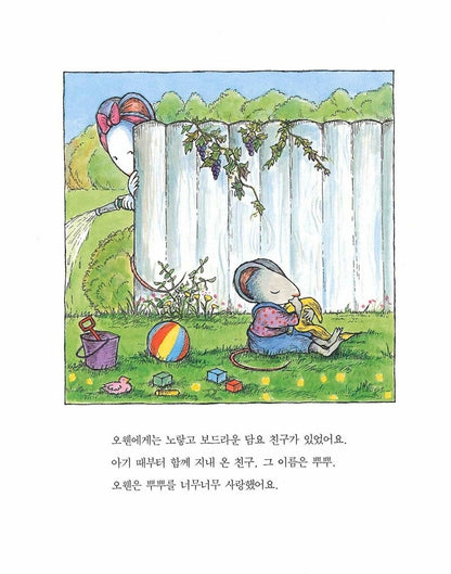 Owen by Kevin Henkes | Korean Edition Picture Books
