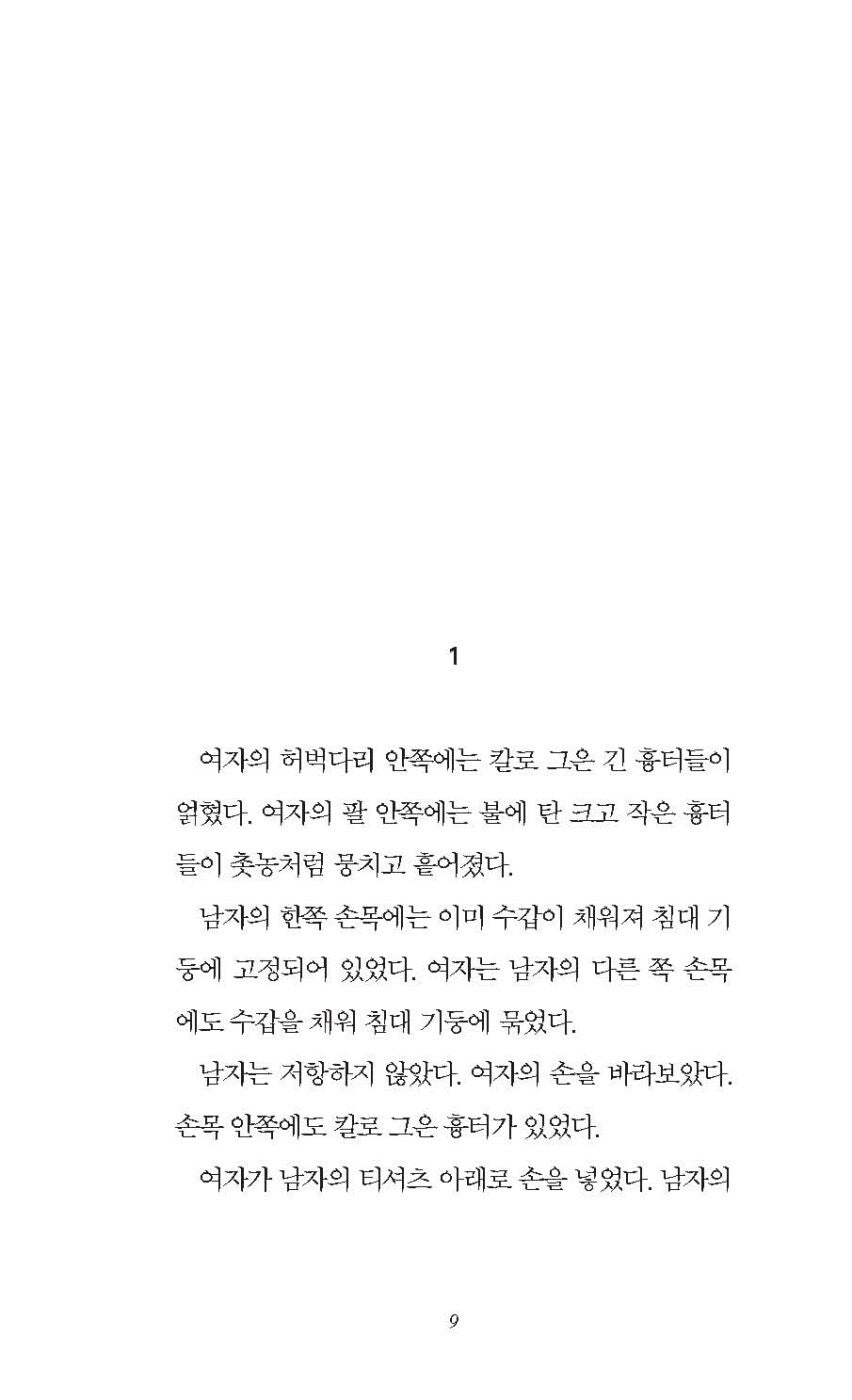 On Pain by Bora Chung Korean Edition