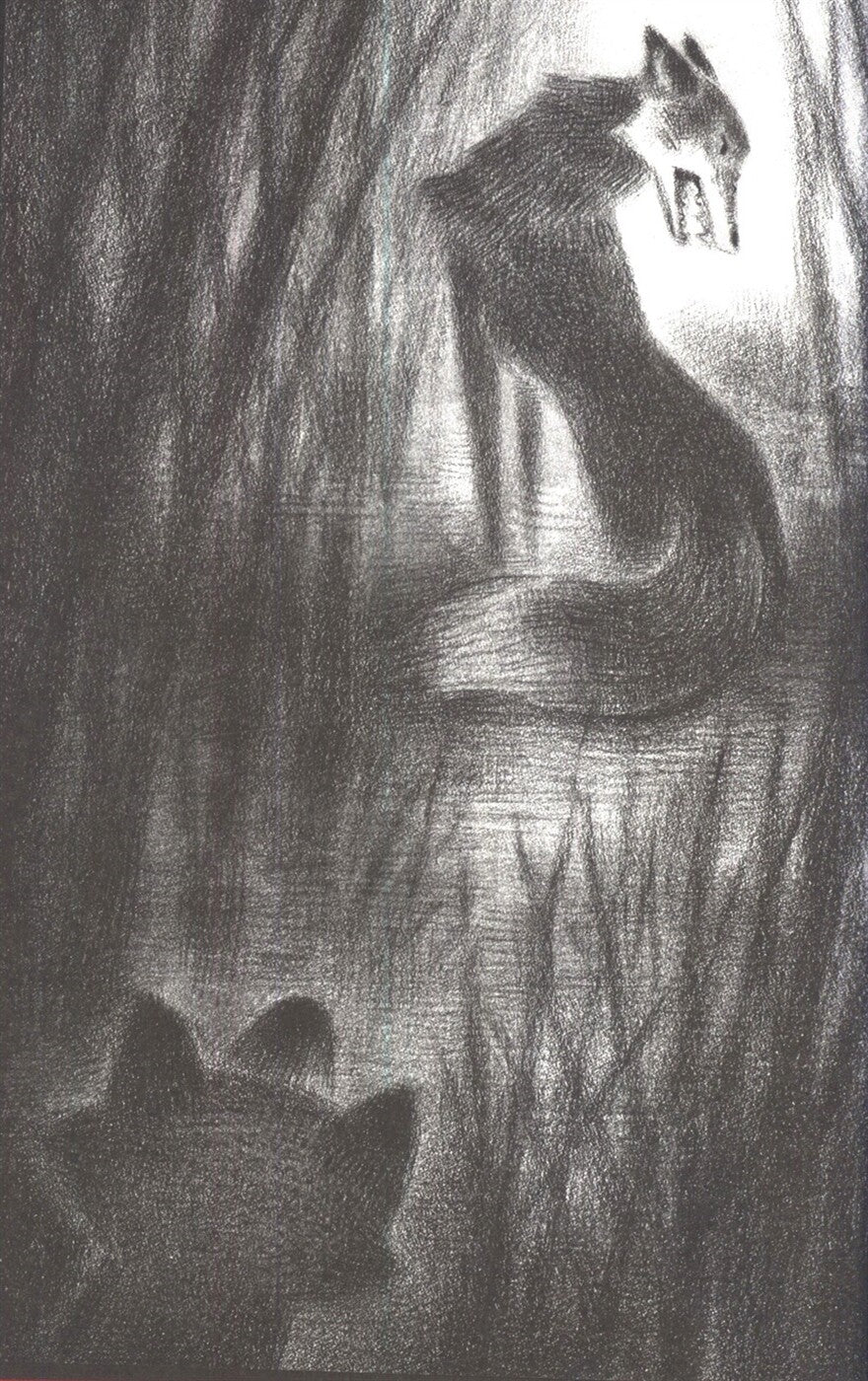Scary Stories for Young Foxes by Christian McKay Heidicker | Korean Edition