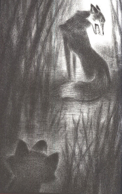 Scary Stories for Young Foxes by Christian McKay Heidicker | Korean Edition