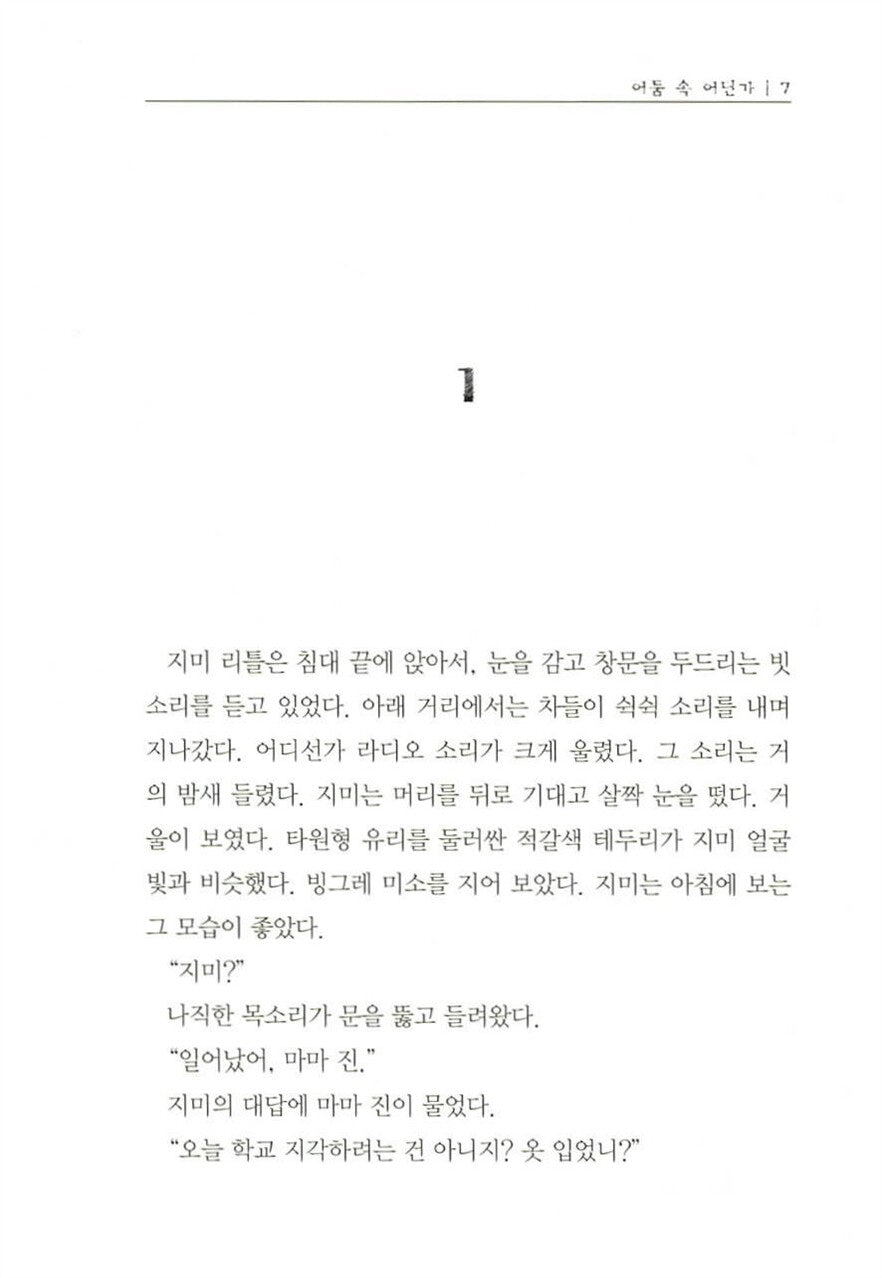 Somewhere in the Darkness by Walter Dean Myers | Korean Edition
