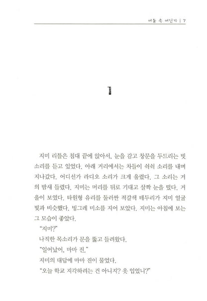 Somewhere in the Darkness by Walter Dean Myers | Korean Edition