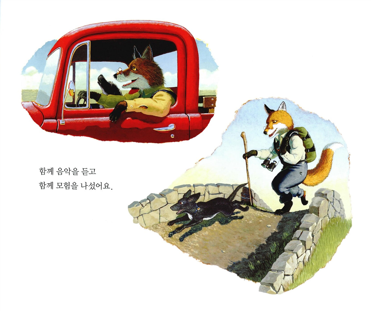 The Rough Patch by Brian Lies | Korean Edition Picture Books