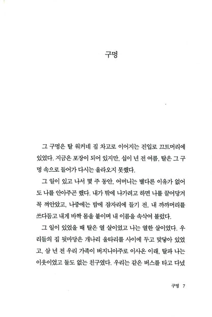 The Theory of Light and Matter by Andrew J. Porter | Korean | 빛과 물질에 관한 이론