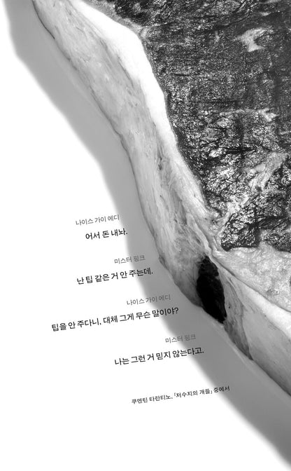 The Dinner (Het Diner) by Herman Koch, Korean, 더 디너, 헤르만 코흐