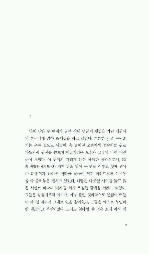 Martha Quest by Doris Lessing | Korean Edition