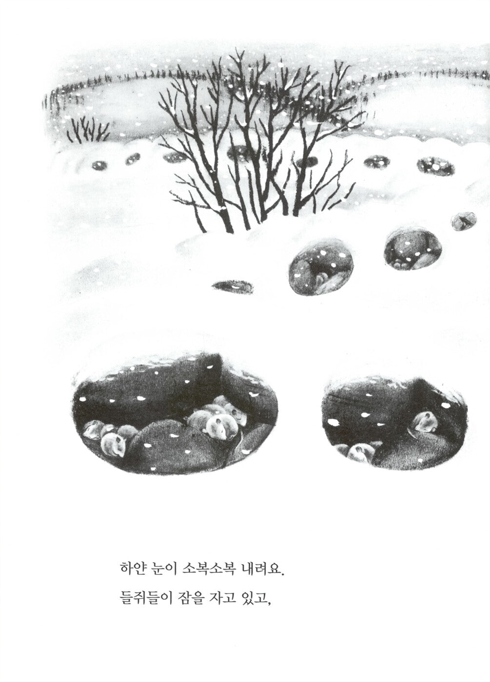 The Happy Day by Ruth Krauss | Korean Edition Picture Books
