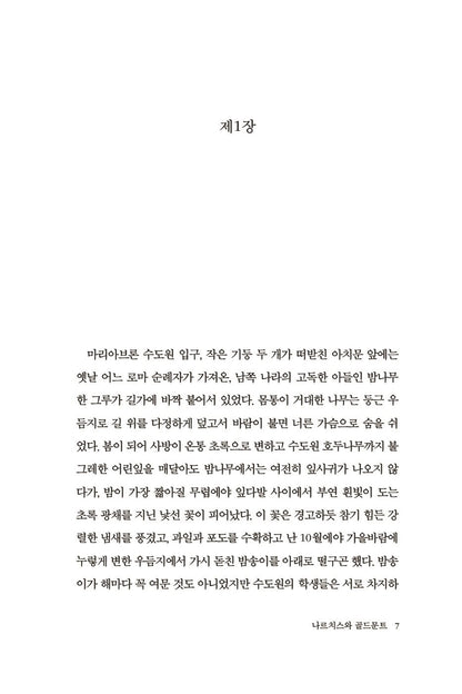 Narcissus and Goldmund Novel by Hermann Hesse Korean Edition