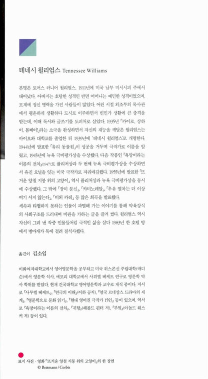 Cat on a Hot Tin Roof Play by Tennessee Williams | Korean Edition