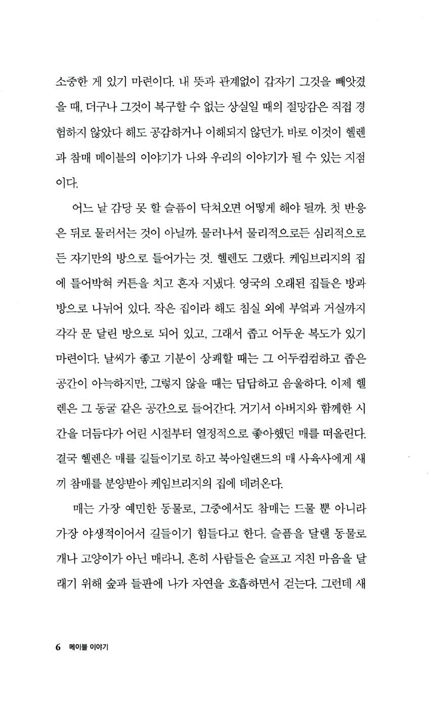 H is for Hawk by Helen Macdonald, Korean, 메이블 이야기, 헬렌 맥도널드