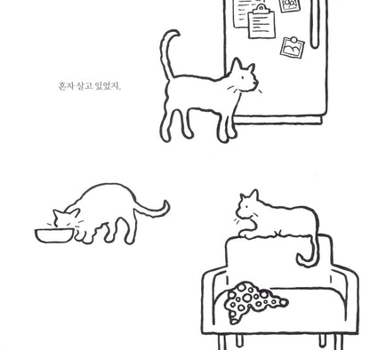 Big Cat, Little Cat by Elisha Cooper | Korean Edition Picture Books