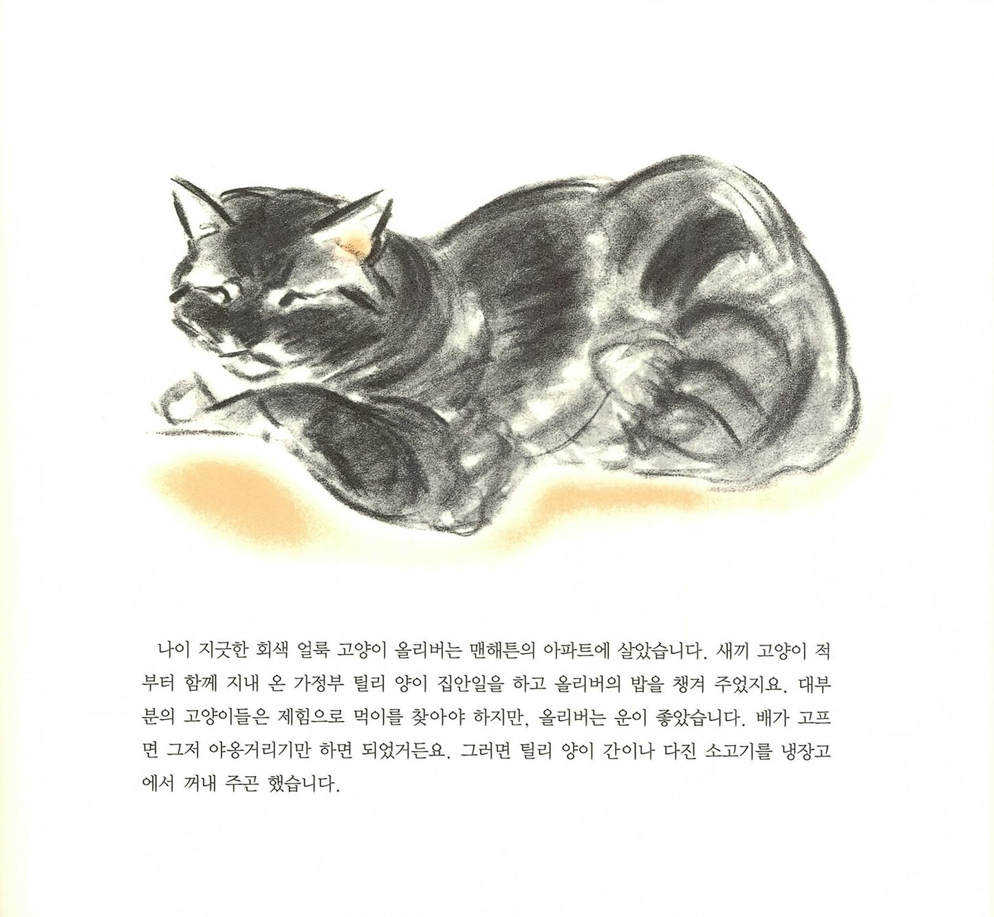 Marshmallow by Clare Turlay Newberry | Korean Edition Picture Books