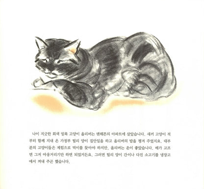Marshmallow by Clare Turlay Newberry | Korean Edition Picture Books