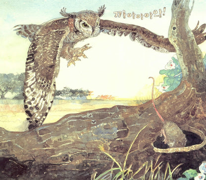 The Lion & the Mouse by Jerry Pinkney | Korean Edition Picture Books