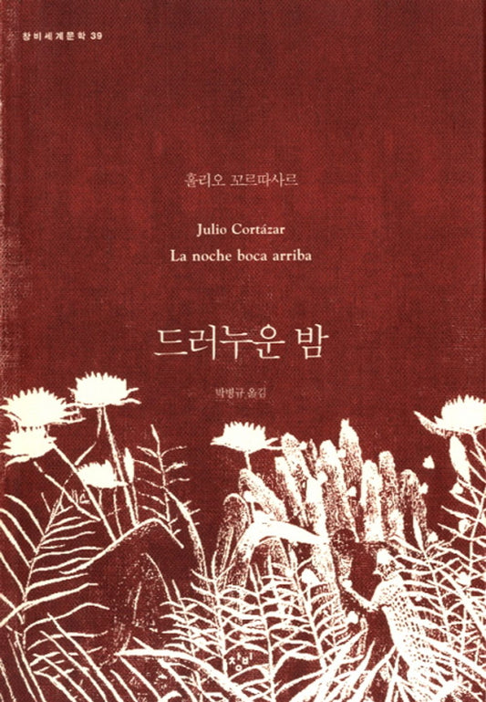 A night of lying down - 드러누운 밤, Julio Cortázar (Korean Novel)