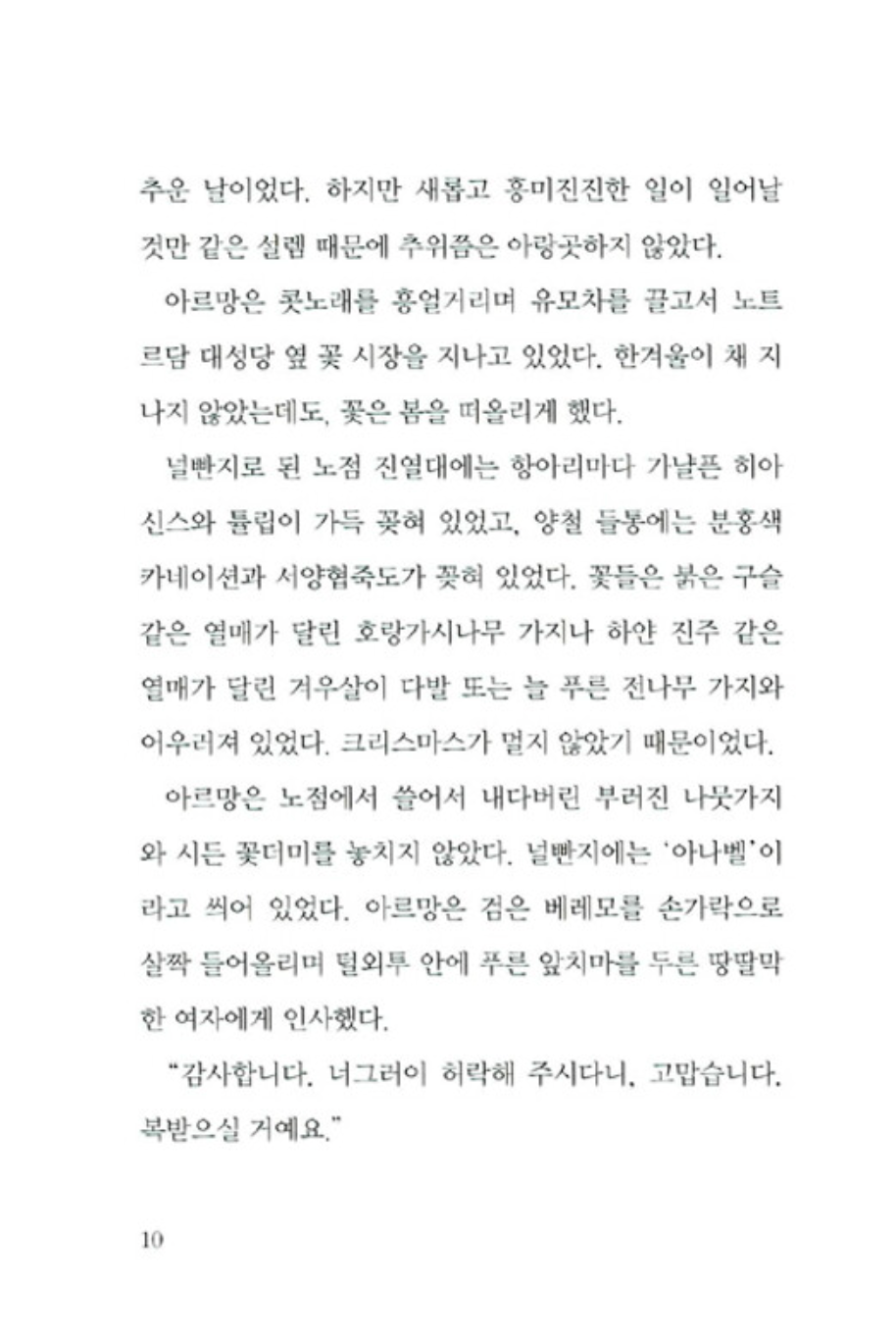 The Family Under the Bridge by Natalie Savage Carlson | Korean Children's Book