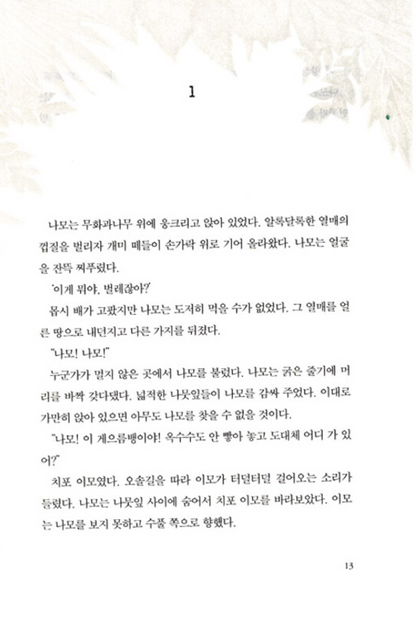 A Girl Named Disaster by Nancy Farmer | Korean Edition
