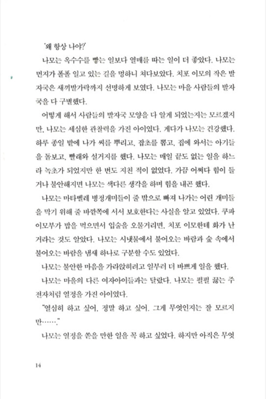 A Girl Named Disaster by Nancy Farmer | Korean Edition