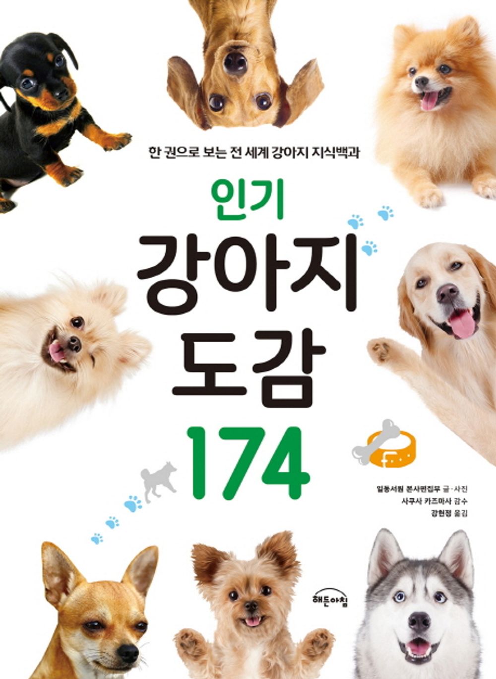 Popular Puppy Encyclopedia Vol. 174 - 인기 강아지 도감 174, Ildongseowon Headquarters Editorial Department (Korean Edition)