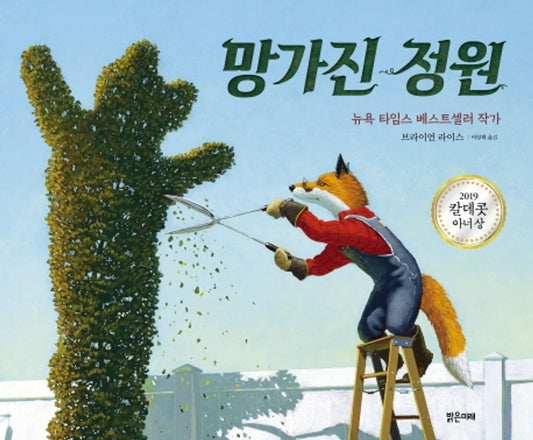 The Rough Patch by Brian Lies | Korean Edition Picture Books