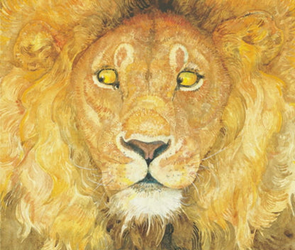 The Lion & the Mouse by Jerry Pinkney | Korean Edition Picture Books