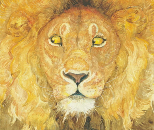The Lion & the Mouse by Jerry Pinkney | Korean Edition Picture Books