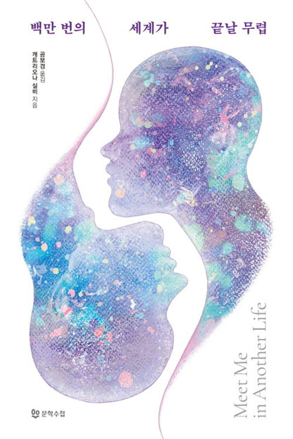 Book cover of Meet Me in Another Life Book by Catriona Silvey Korean Edition