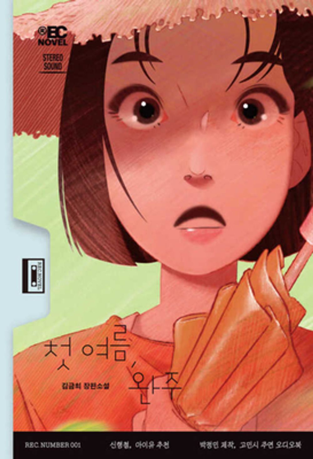 First summer, Wanju by Kim Geum-hee | Korean Novel | 첫 여름, 완주, 김금희