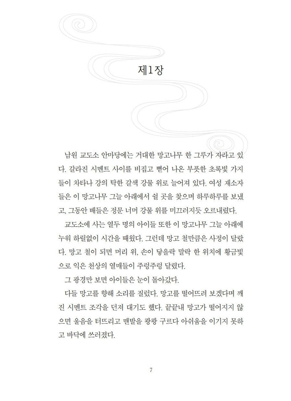 A Wish in the Dark by Christina Soontornvat | Korean Edition Children's Book