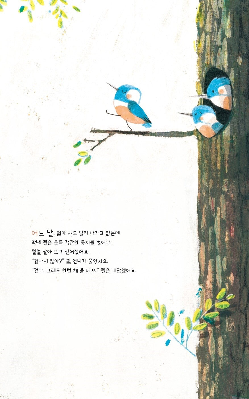 Mel Fell by Corey R. Tabor | Korean Edition Picture Books