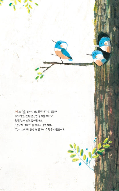 Mel Fell by Corey R. Tabor | Korean Edition Picture Books