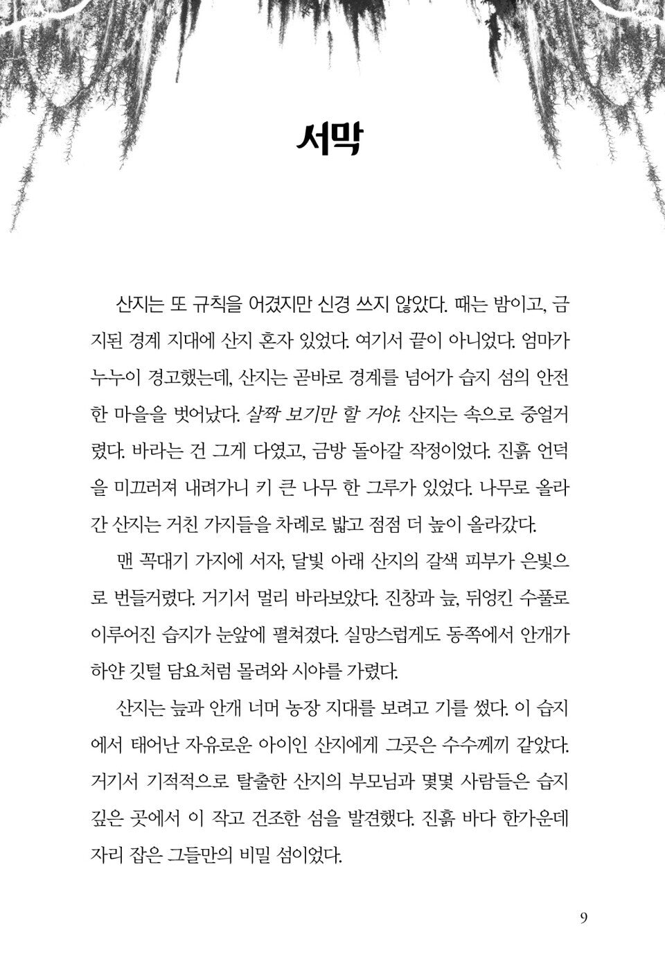 Freewater by Amina Luqman-Dawson | Korean Edition Children's Book