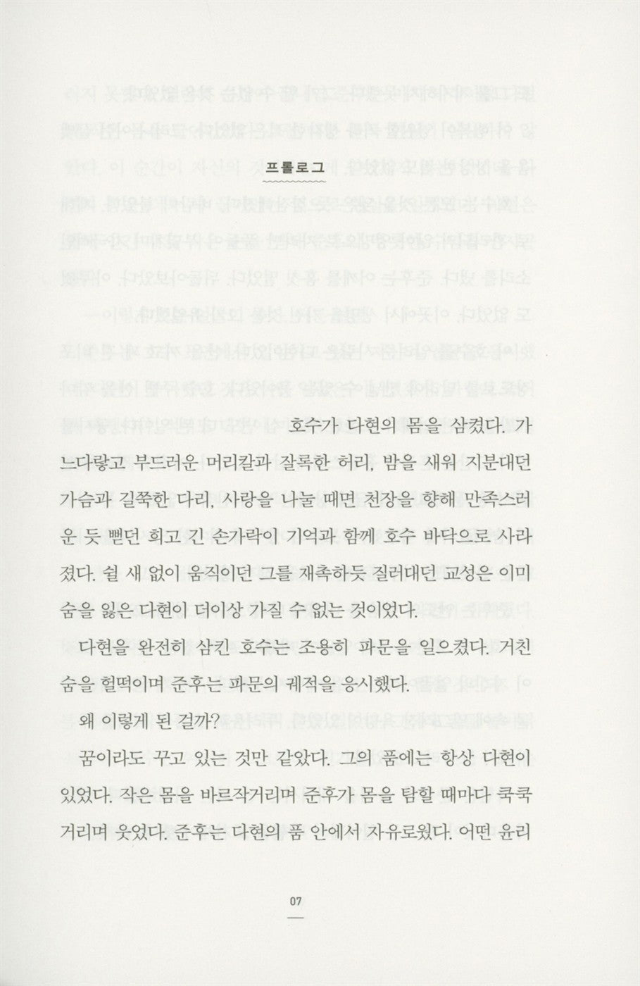 The Flamingo's Place by Jeong Hae-yeon Korean Edition