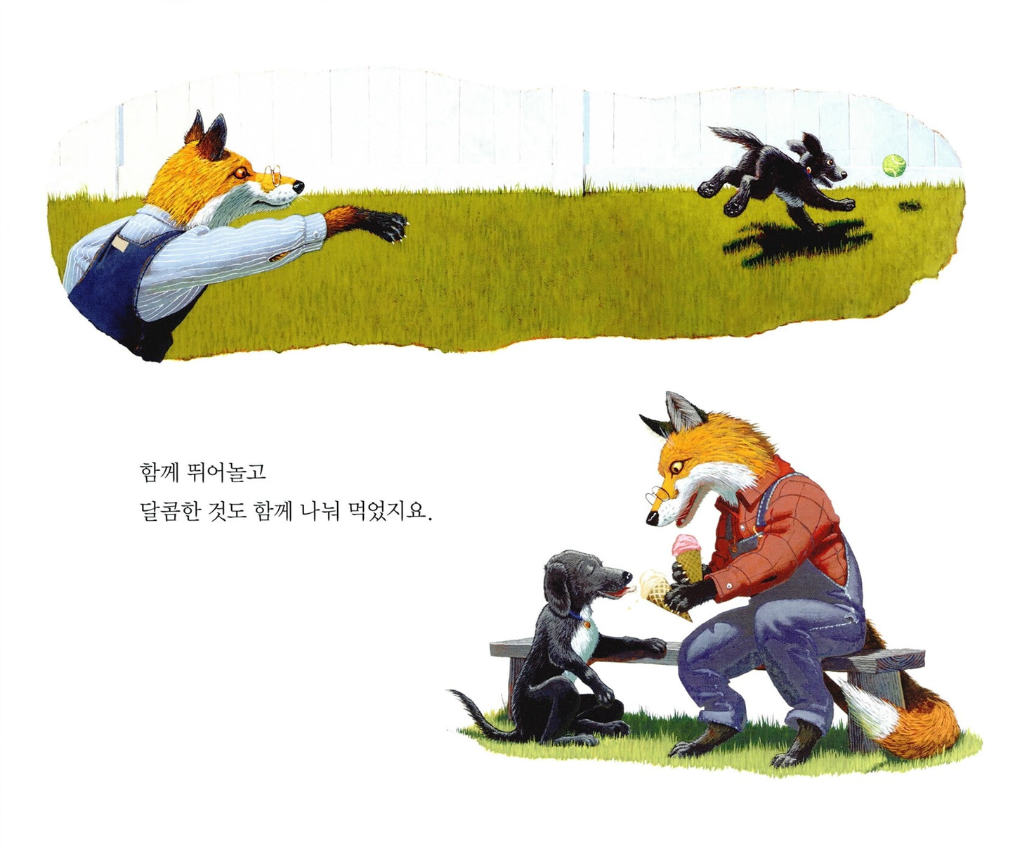 The Rough Patch by Brian Lies | Korean Edition Picture Books