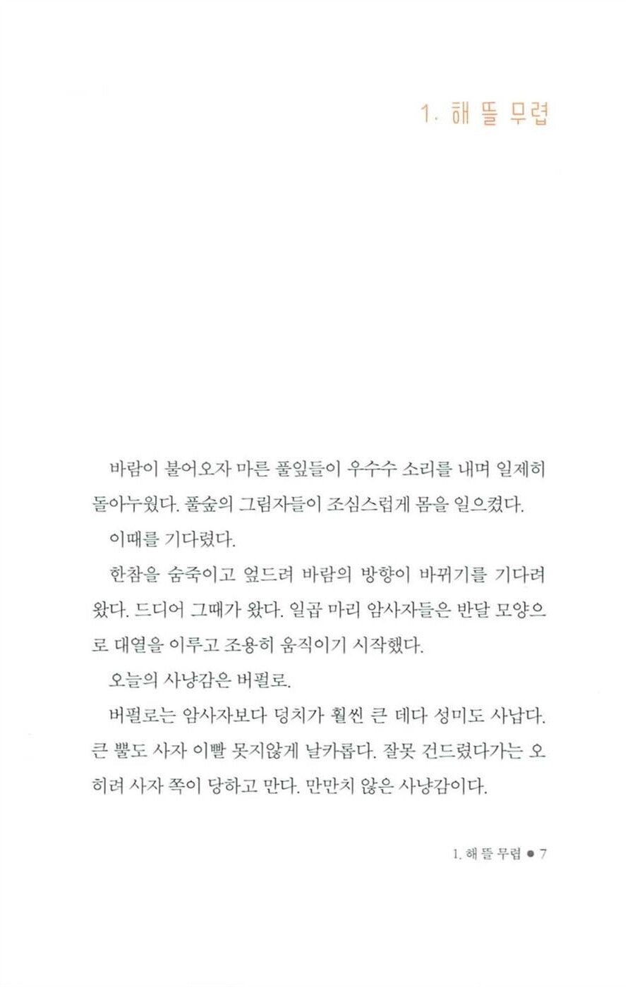 Blue Lion Wanini by Lee Hyun | Korean Edition Children's Book