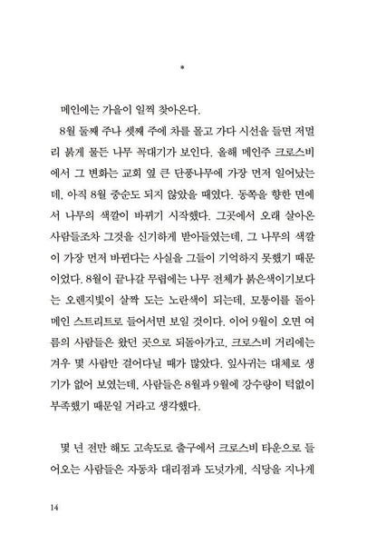Tell Me Everything by Elizabeth Strout, Korean, 이야기를 들려줘요, 엘리자베스 스트라우트