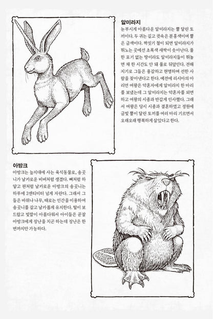 Impossible Creatures by Katherine Rundell, Korean, 임파서블 크리처스, 캐서린 런델